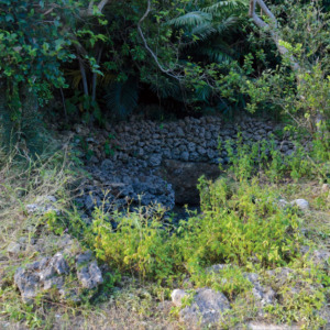 konntoluka- konntoluka-