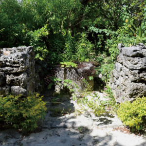 maishinnka- maishinnka-