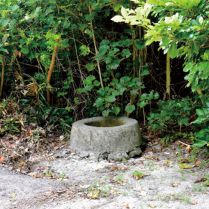 mishashika- mishashika-