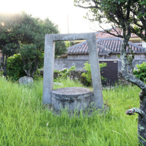 shirumijika- shirumijika-