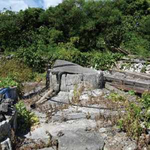 sunnna-ka- sunnna-ka-