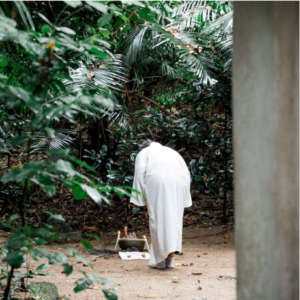 nigatsumatsuri nigatsumatsuri